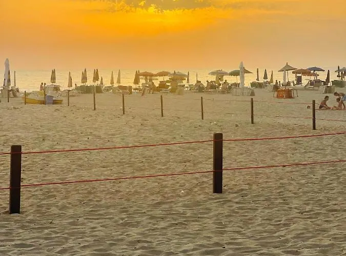 Marlis' Golem (Tirana)